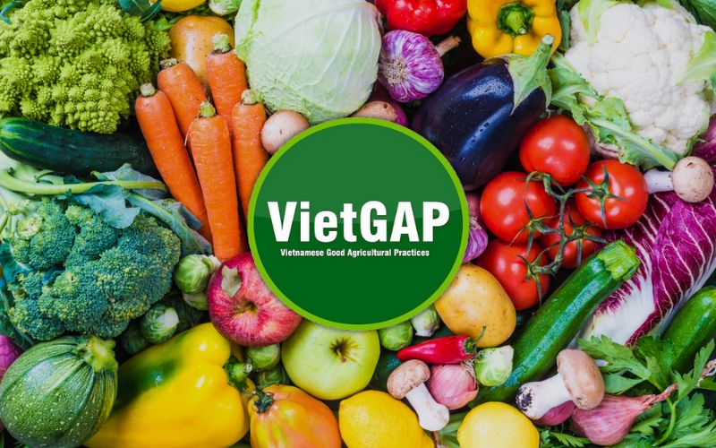 Chứng nhận VietGAP